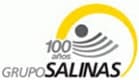 grupo_salinas